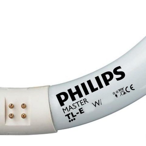 Fluorescent circular 22w/840 T-8 Philips