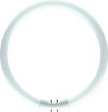 Tub fluorescent circular T5 16mm. 40w/865 